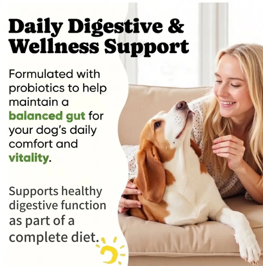 Canine Probiotic Chewables - Nutritional Supplement with Multivitamins and Fructooligosaccharide, Chicken Flavor, 6.35 Oz (180G), 90 Soft Chews for Intestinal Flora Balance and Daily Wellness for All Ages, Sohochic
