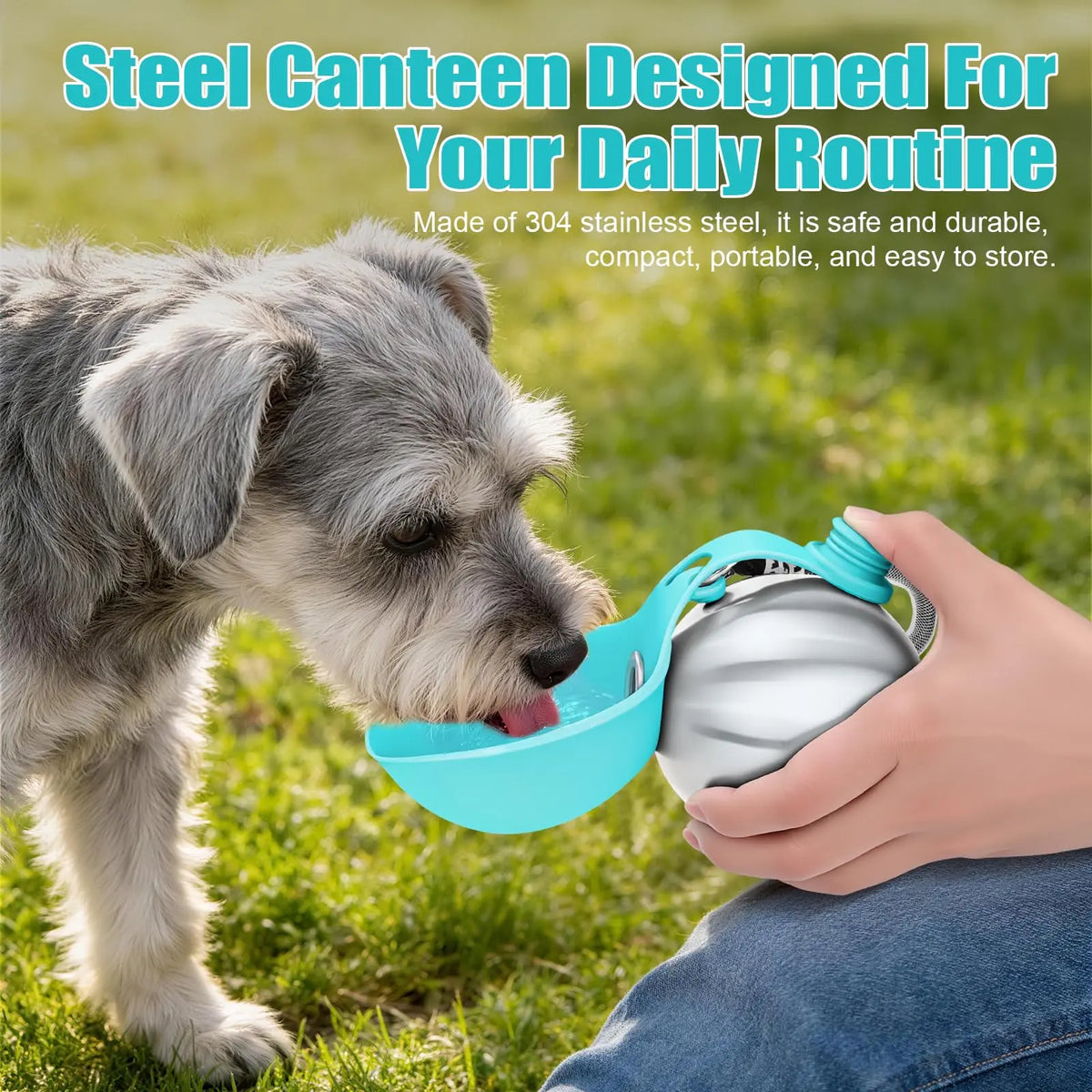 Lumikata 2-in-1 Portable Dog Water Bottle with 10oz Stainless Steel and Silicone Foldable Bowl - Leak-Proof Design for Small Dog Walking and Pet Feeding Supplies