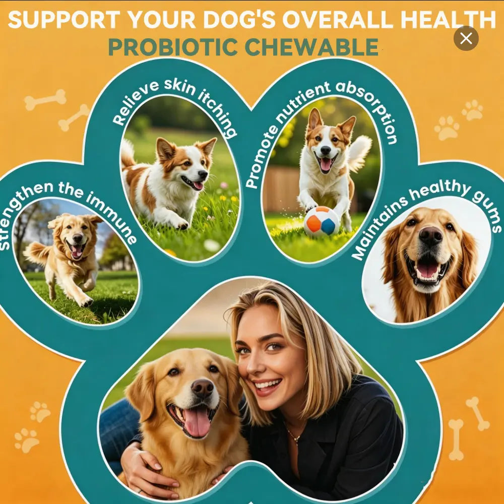 Canine Probiotic Chewables - Nutritional Supplement with Multivitamins and Fructooligosaccharide, Chicken Flavor, 6.35 Oz (180G), 90 Soft Chews for Intestinal Flora Balance and Daily Wellness for All Ages, Sohochic
