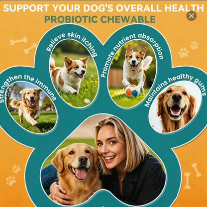 Canine Probiotic Chewables - Nutritional Supplement with Multivitamins and Fructooligosaccharide, Chicken Flavor, 6.35 Oz (180G), 90 Soft Chews for Intestinal Flora Balance and Daily Wellness for All Ages, Sohochic